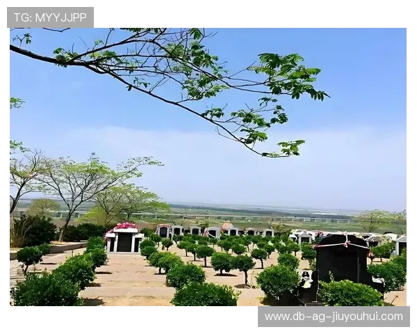 曹庄村足球场具体位置和交通路线详细介绍